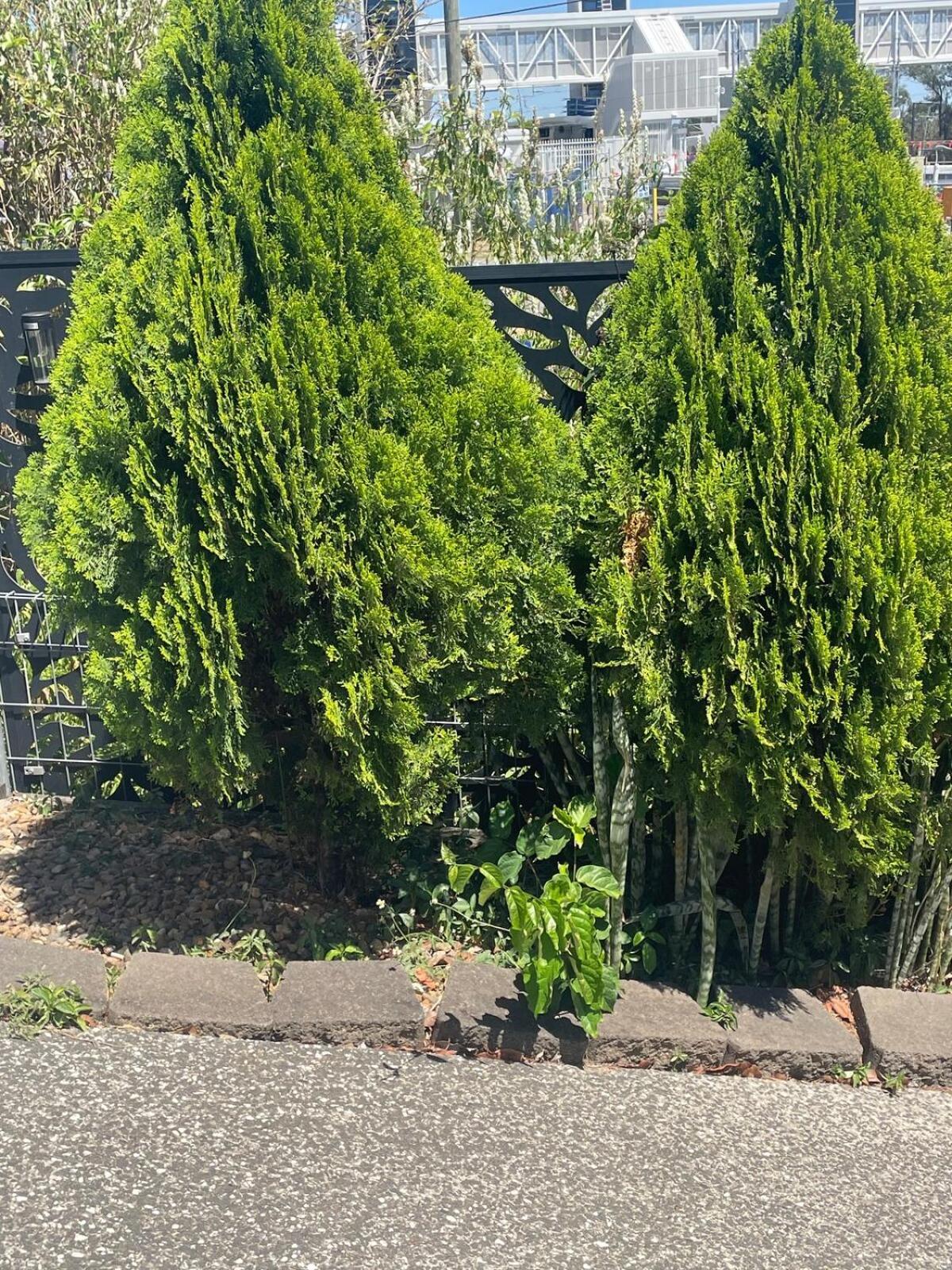 Salisbury Suburban Escape *