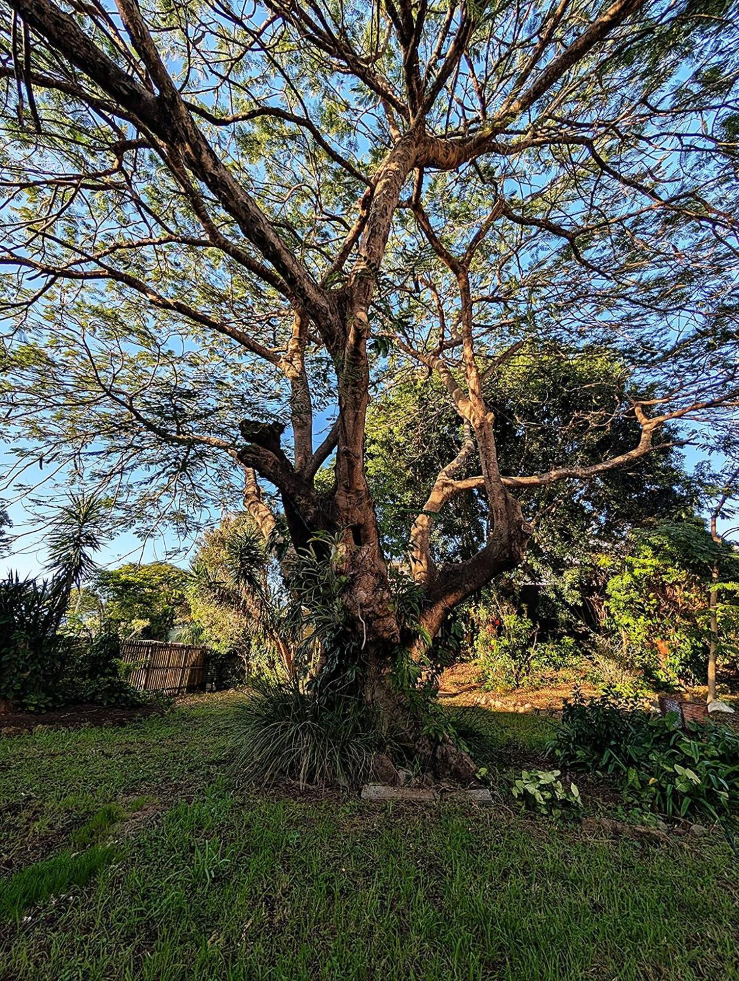 Holiday home Peaceful, Modern, Lowtoxic, Bfast Included