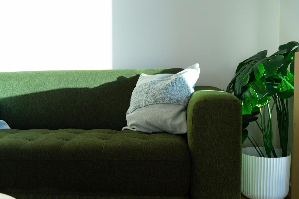 Walk To South & Convention Centre Apartment Brisbane