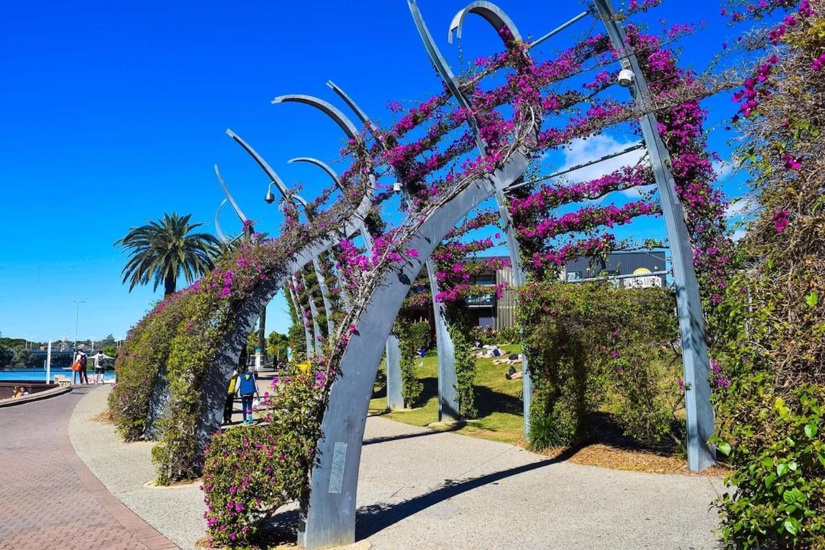 Apartment Comfy 1bed And 1 Futon In Heart Of Brisbane