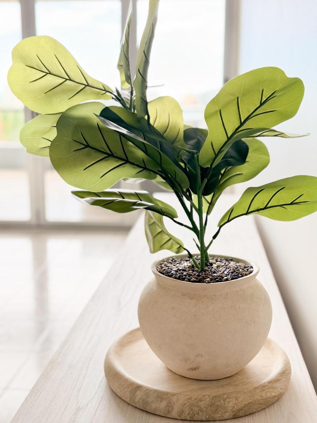 South Bank Penthouse - Streets Access - Free Parking Apartment *