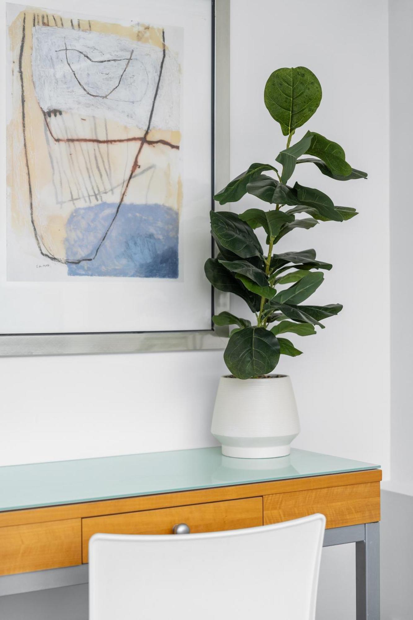 Bright Inner-city Near River View Brisbane