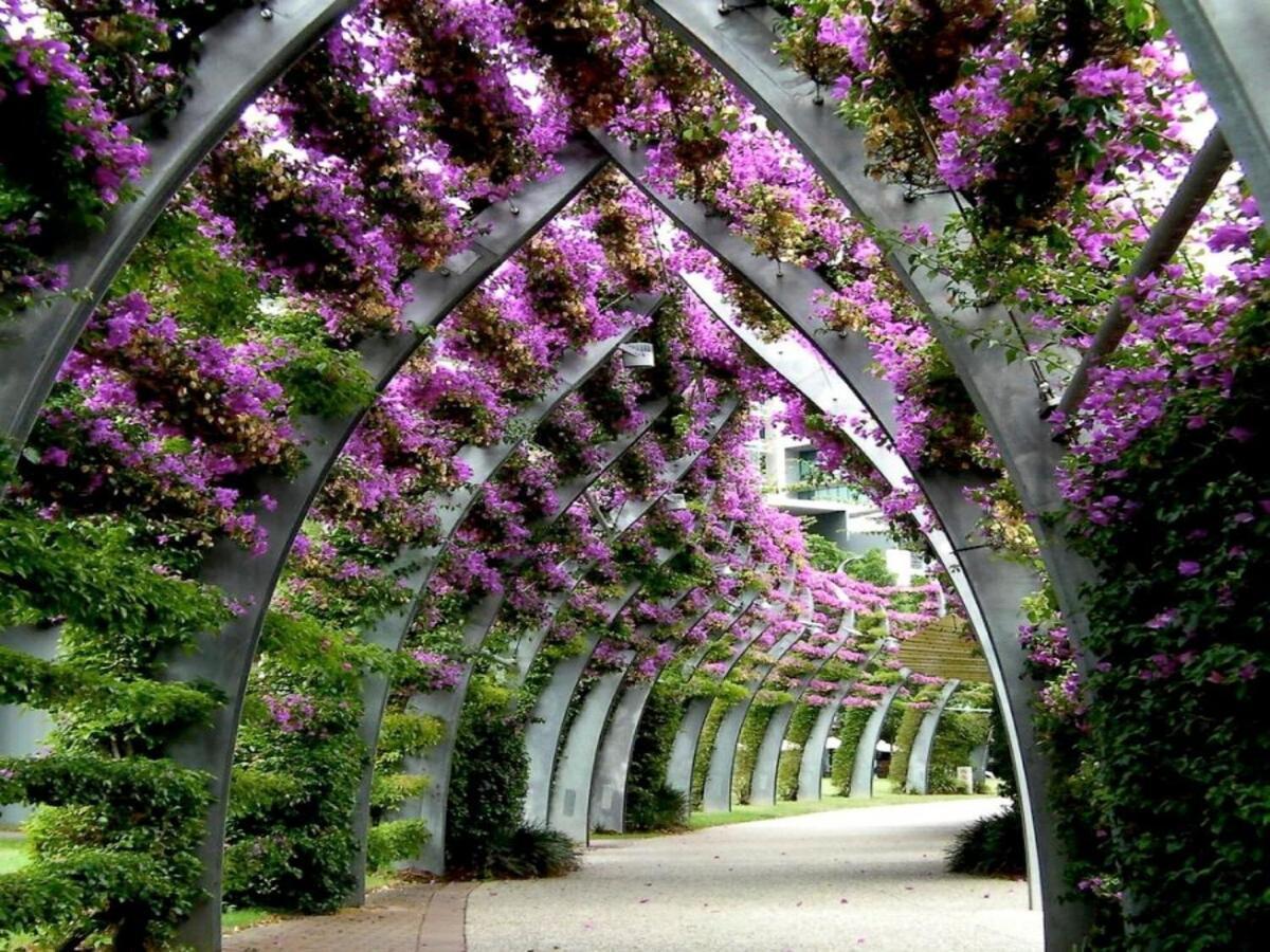 Apartment Comfy 1bed And 1 Futon In Heart Of