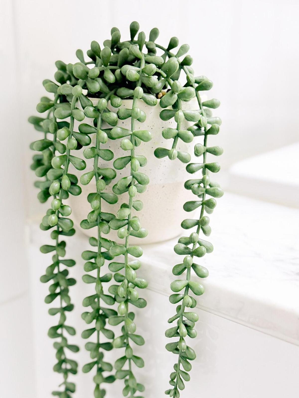 Apartment Direct Story Bridge Views - Sleeps 6 - Parking - Brisbane