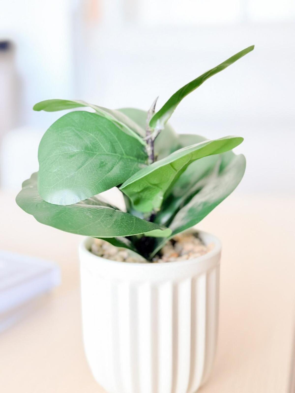 Direct Story Bridge Views - Sleeps 6 - Parking -