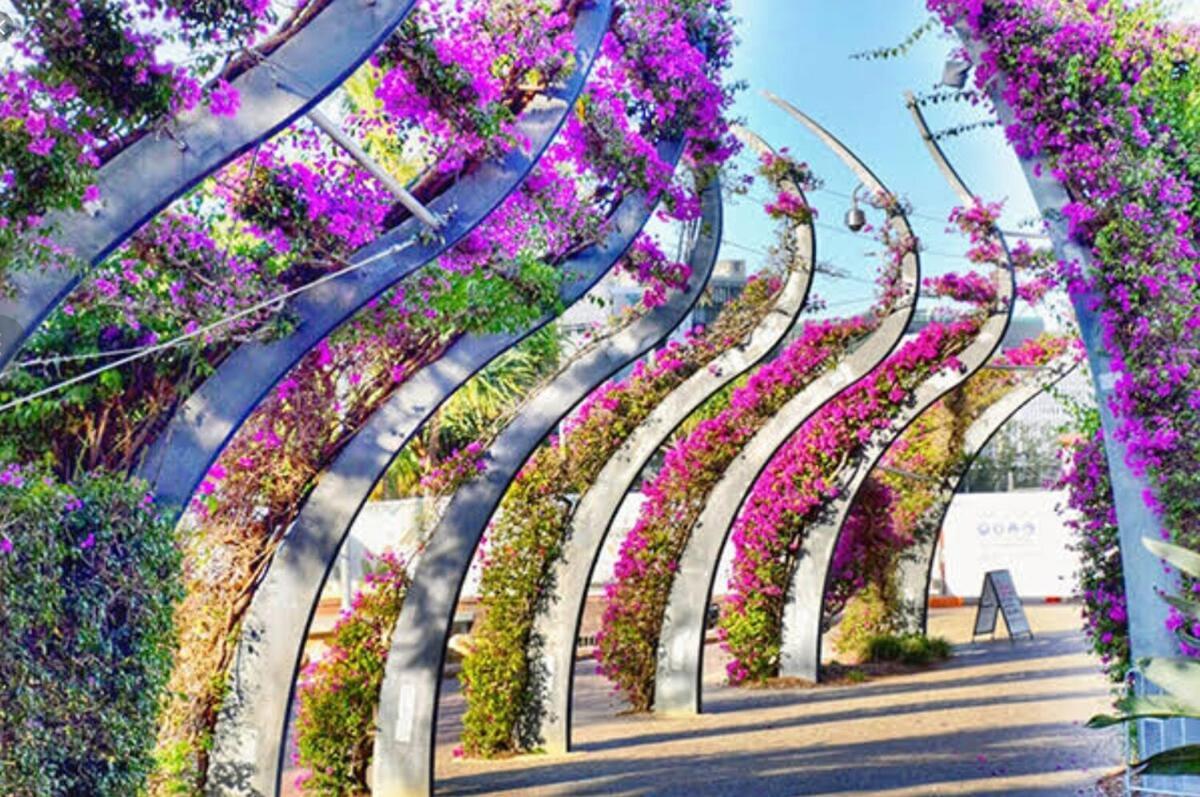 Tara's Place-gabba * Brisbane