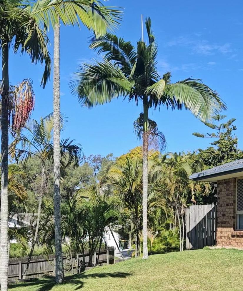 Aztec Share Adress 133 Beckett Road * Brisbane