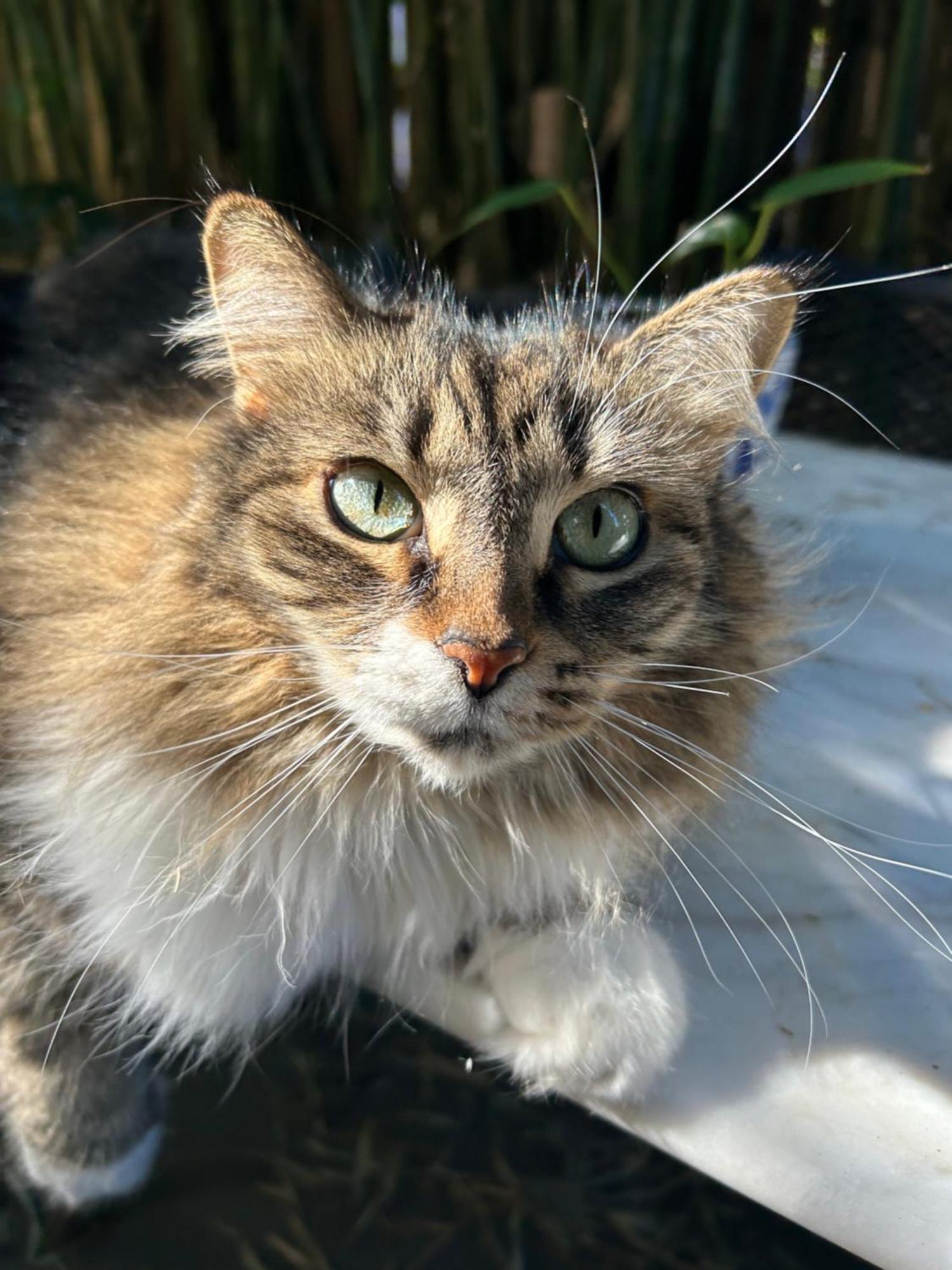 Nicole - Private & Bathroom - 6kms From Guest house