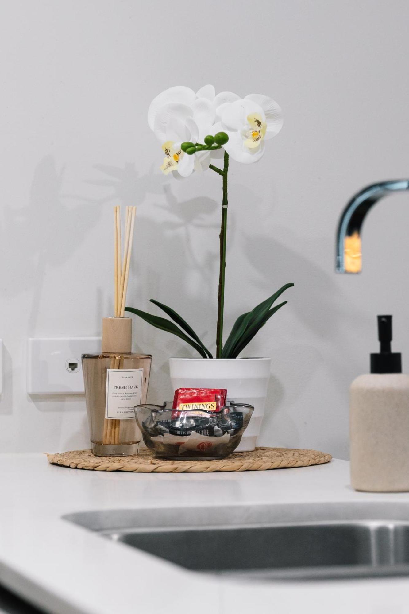 Prime Retreat Kingbed At Cultural Centre Precinct Brisbane