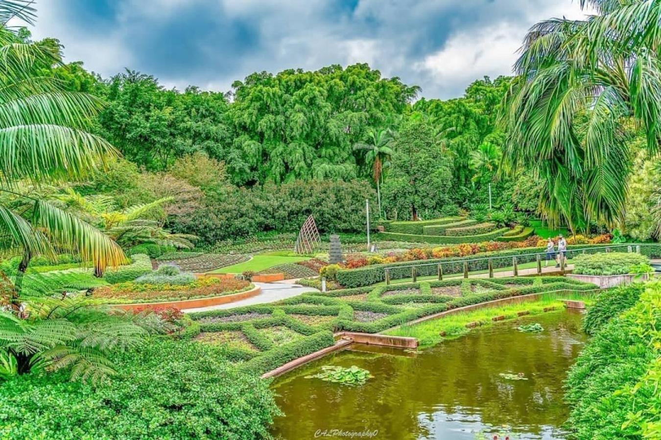 Parkland View At Roma Street Brisbane