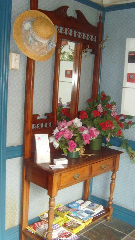 Annie's Shandon 3*