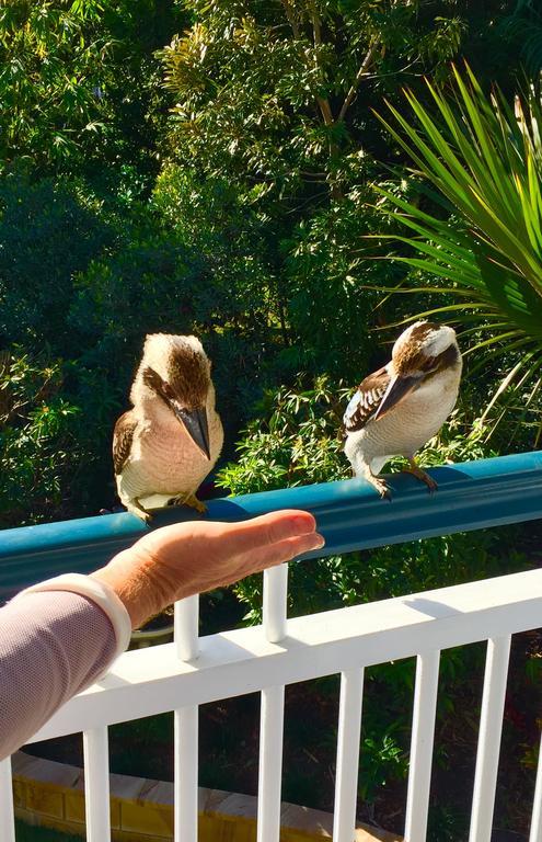 Homestay Balmoral Queenslander *