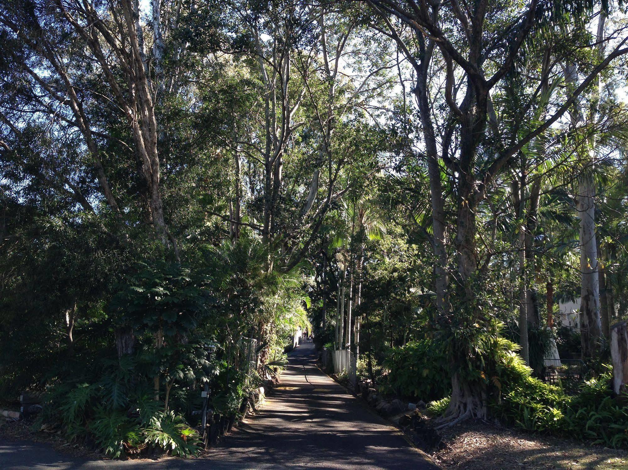 Aparthotel Forest