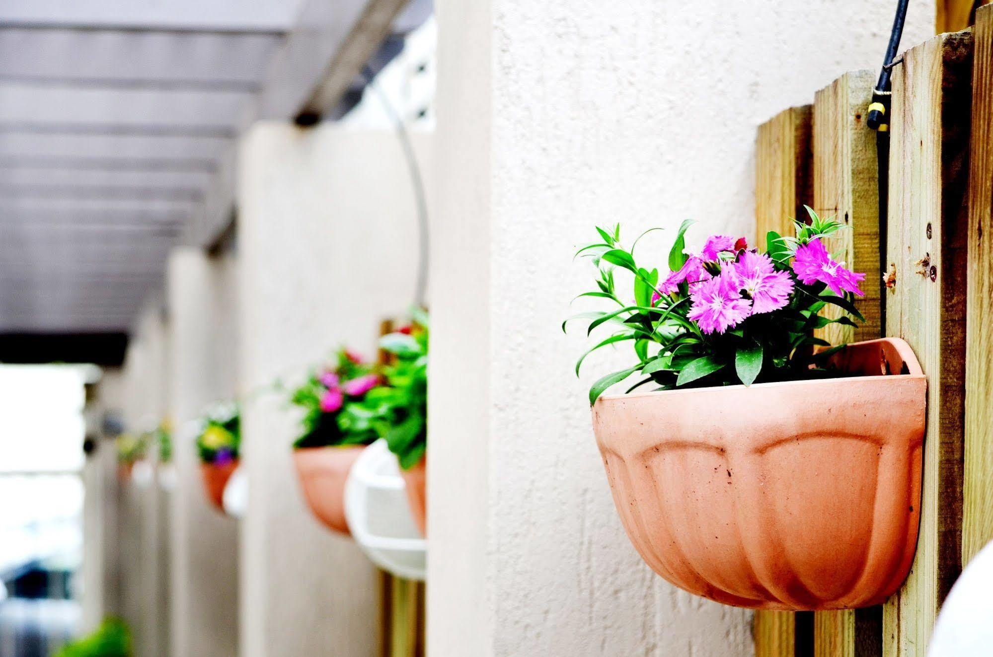 Spring Hill Mews 4*