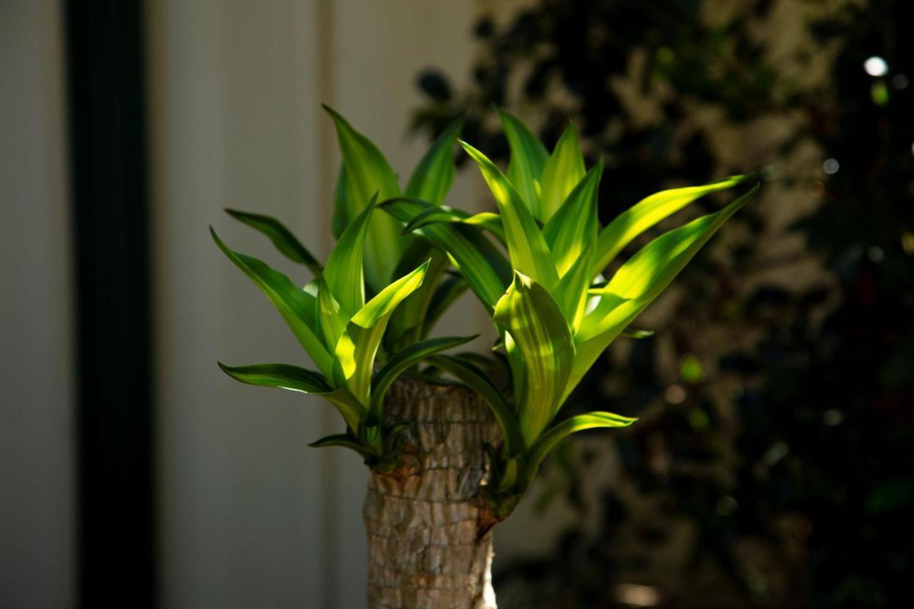 Guest house Zen Escape Brisbane