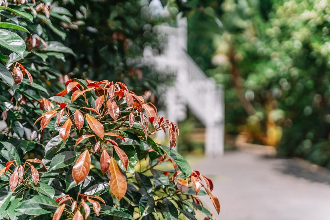 Balmoral Queenslander Homestay *