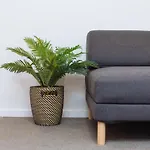 Apartment Airtrip At Woolloongabba Brisbane