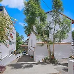 Tropical Dreaming In The Heart Of Indooroopilly