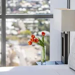 Apartment Amazing 2br Delicate Apt, 1min To Train Station *