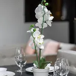 South Brisbane 2B2B Apt&Parking M6