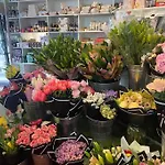 Angie\'S Place