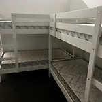 Hostel Palm Hamilton Backpacker Brisbane