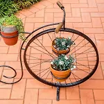 Coastal Calm At Plumeria Place