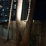 Palm Hamilton Backpacker Hostel Brisbane