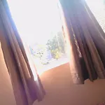 Grizzly Damo\'S Nft Gallery Apartment