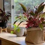 3Br Comfy Home, Gym & Garden In The Gap