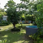 Seaside Haven Luxe Four Br Oasis With Plunge Pool Brisbane
