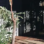 West Hub. Private Infrared Sauna Near City & Much More! New Purpose Built Loft Style!