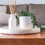 Apartment C Woolloongabba *