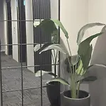 Apartment Warm Cozy Gabba Close To Pa & Cbd *