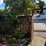 Tranquil Leafy Escape By The City & James Street