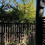 Tranquil Leafy Escape By The City & James Street