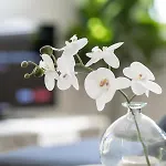 Tiny 1bd, 1ba In Clayfield, Near Cbd M2 Apartment *