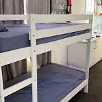Palm Hamilton Backpacker Hostel Brisbane