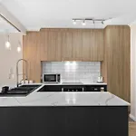 Modern Tropical 1Br Oasis In Spring Hill Shs 21