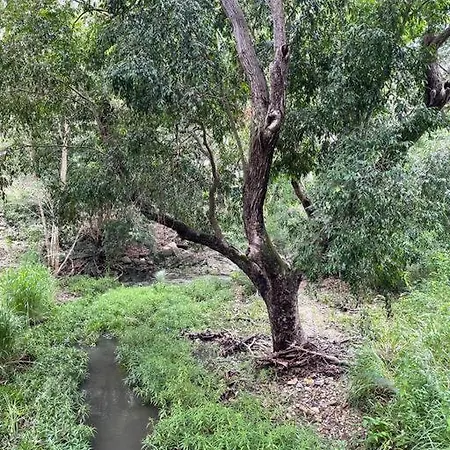 Authentic Queenslander In The Heart Of Villa *