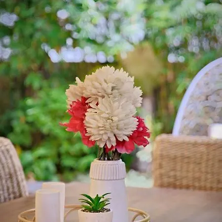 Bali Style Designer's House In Location