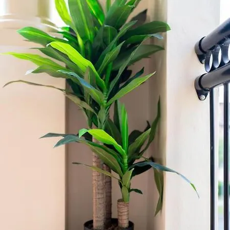 Relax In 2b2b Chateau Near Uq With Parking+balcony Brisbane