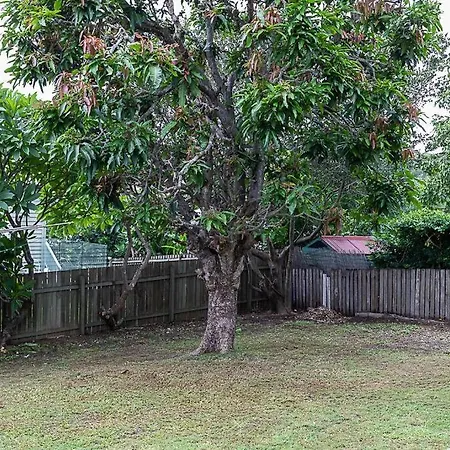 Pet Friendly Family 3km To Cbd
