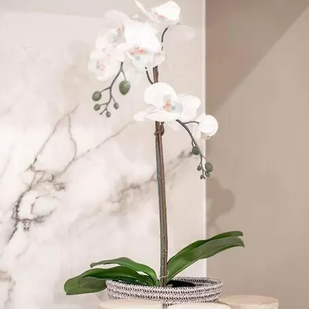 Apartment Urban Elegance 2b2b W Parking, Pool South Brisbane