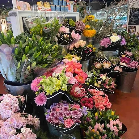 Angie's Place * Brisbane