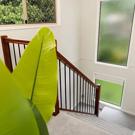 Large Family Pool In Taringa 6km To Cbd Pets Brisbane
