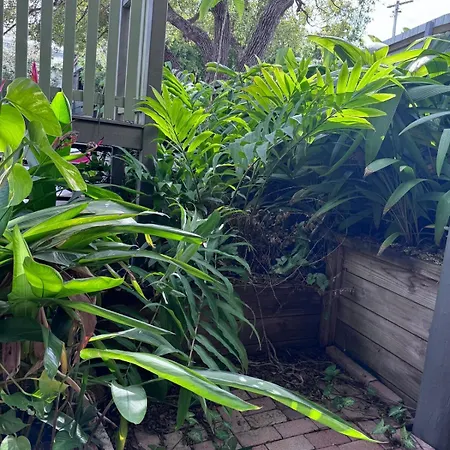 Apartment Tranquil Leafy Escape By The & Street Brisbane