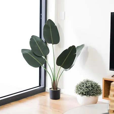 South Epicentre - 1 Bedroom *