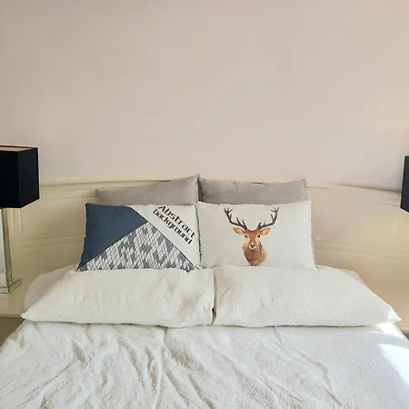 Guest house Air Conditioned Floral Youth Backpacker And House *