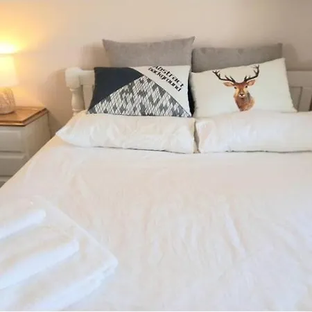 Air Conditioned Floral Youth Backpacker And House Guest house *